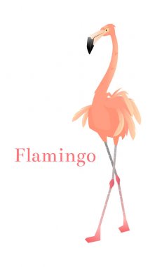 Beyaz arkaplanda izole edilmiş pembe flamingo vektör çizimi.