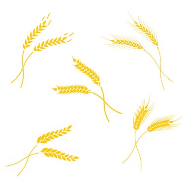 Organik ürünler etiket, hasat ve tarım, tahıl, ekmek, sağlıklı gıda için kavram.