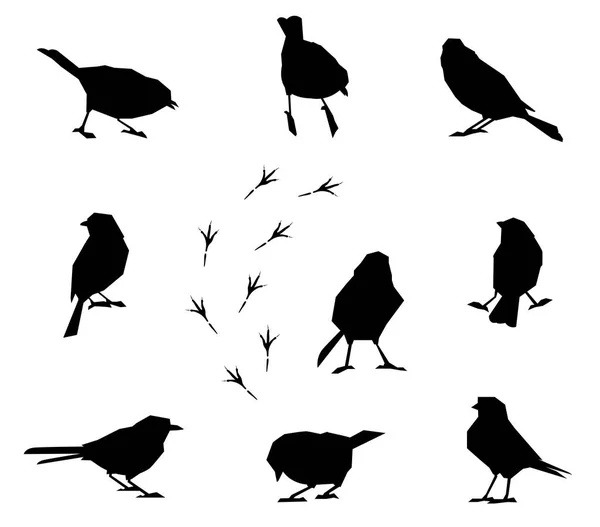 Een reeks silhouetten van vogels van de winter. — Stockvector