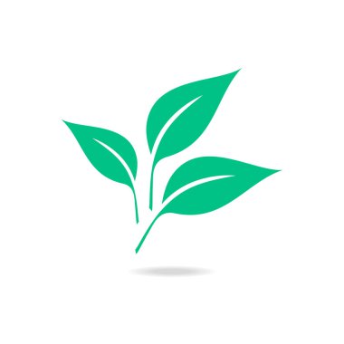 Beyaz arkaplanda yeşil yaprak izole edildi.