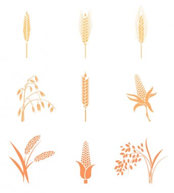 Buğday kulakları simgeler ve Logo koymak.