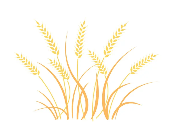 Wheat field background. Cereals icon set. — Stock Vector