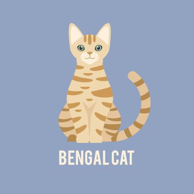 Bengal kedi oturuyor.