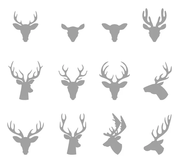 Tête de cerf avec cornes . — Image vectorielle