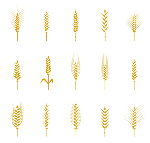 A set of yellow wheat spike icons. — Stock Vector