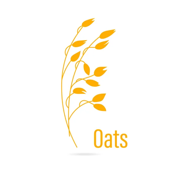 Oats cereals grain. — Stock Vector