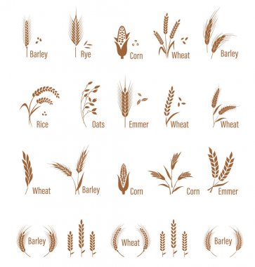 Beyaz arka plan üzerinde izole tarım sembolleri.