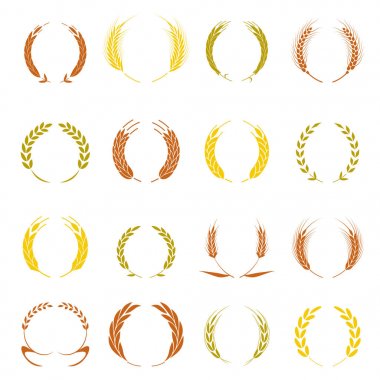 Altın defne çelengi - kazanan bir sembolü. Buğday kulak veya pirinç Icons set.