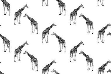Zürafalar ile Dikişsiz desen vektör.