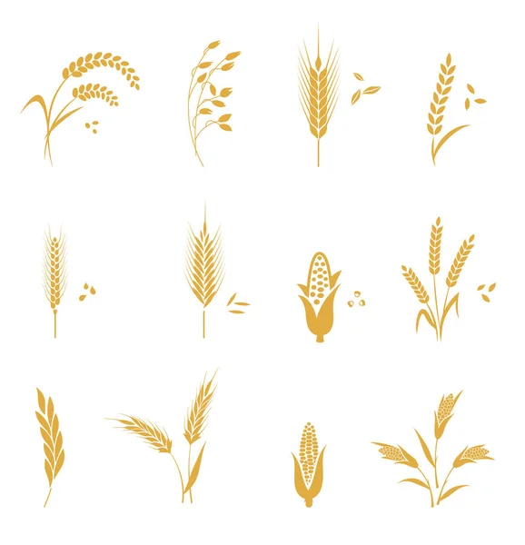 Cereals icon set with wheat. — Stock Vector