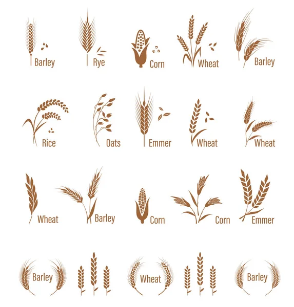 Agrarisch symbolen geïsoleerd op witte achtergrond. — Stockvector