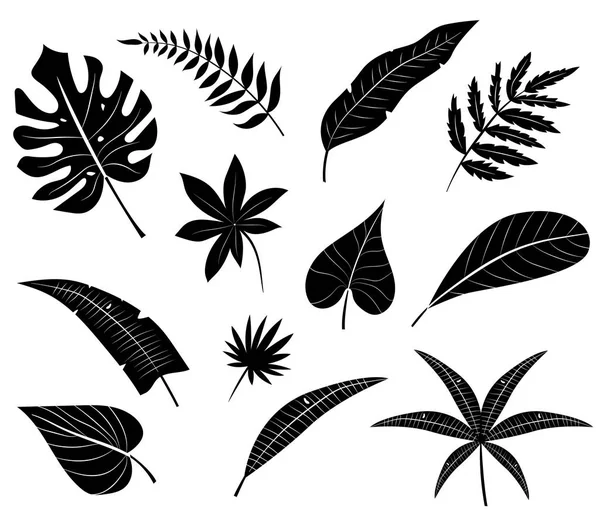 熱帯の葉のシルエット. — ストックベクタ