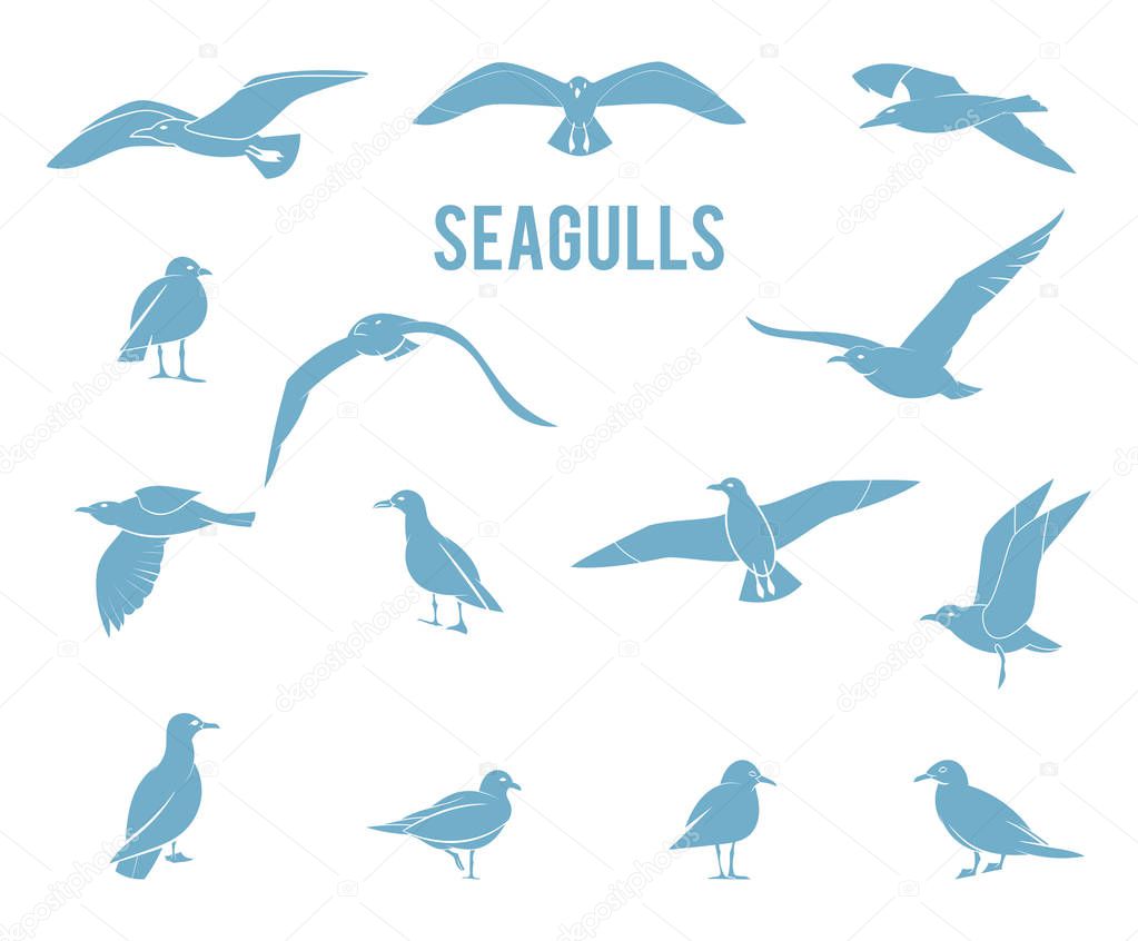 Silhouettes of birds isolated on white background. Icons gulls.