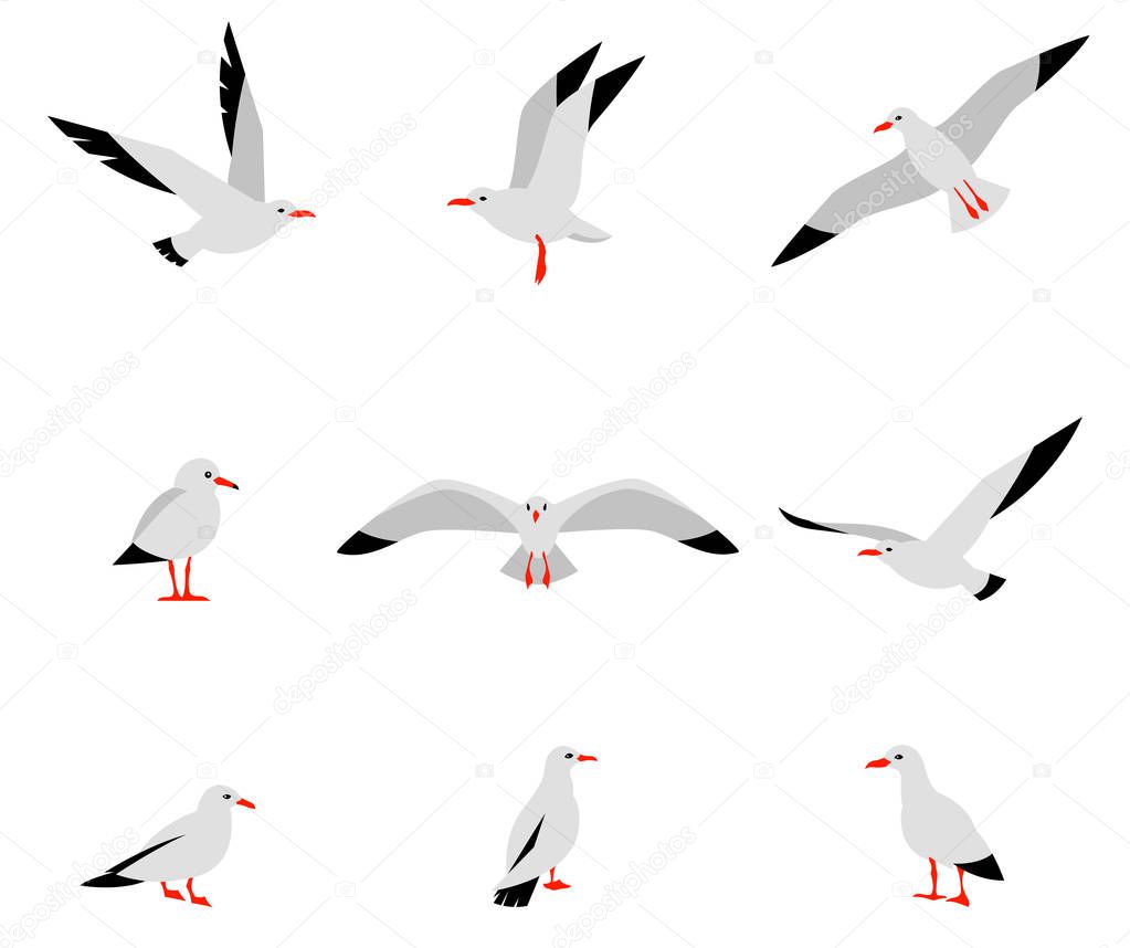 Seabirds. Set of beautiful seagulls in a flat style isolated on white background. Vector set of beautiful seagulls.