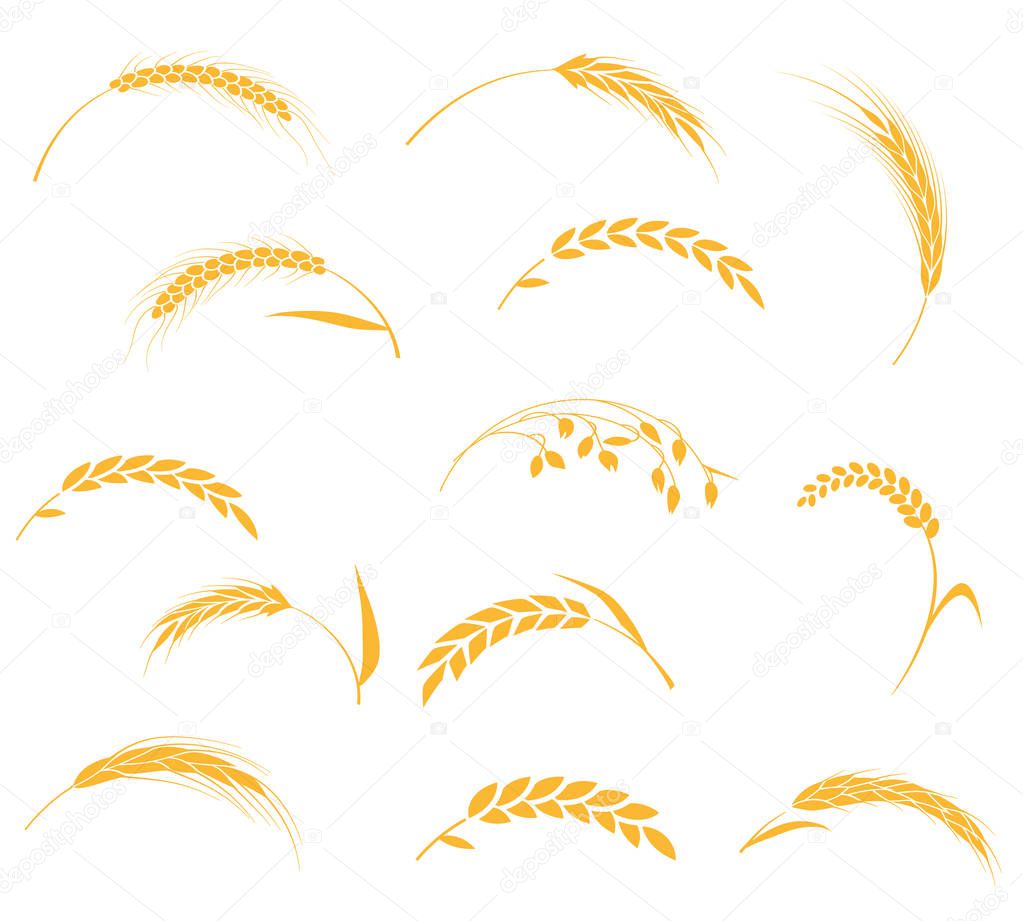 Ears of wheat bread symbols.