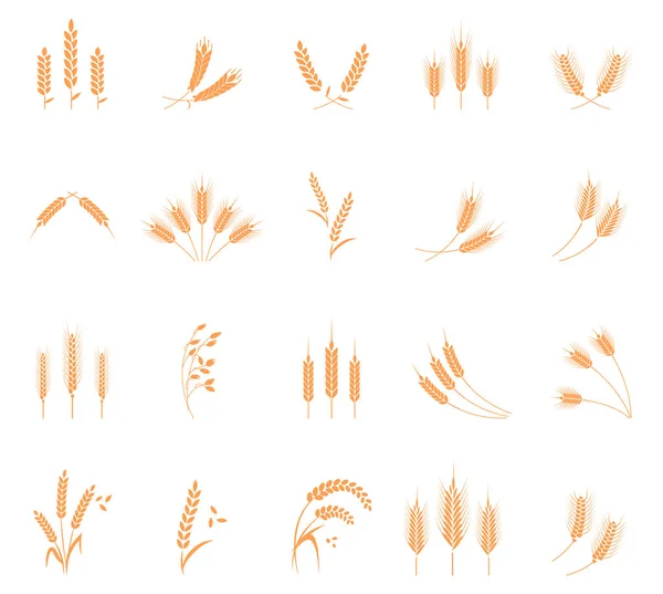 Набор икон пшеницы . — стоковый вектор