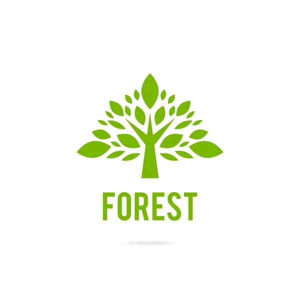 Logotipo de árvore de carvalho verde . — Vetor de Stock