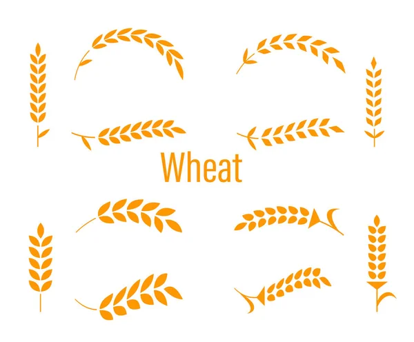 Wheat ears or rice icons set. — Stock Vector