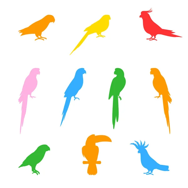 Silhouettes d'oiseaux et de perroquets . — Image vectorielle