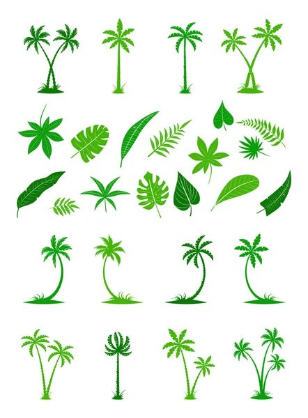 Silhouette di foglie tropicali e palme . — Vettoriale Stock