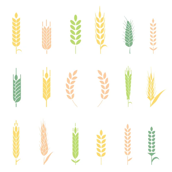 Wheat ears or rice icons set. — Stock Vector