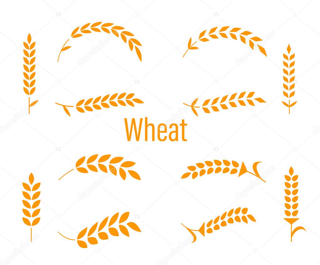 Wheat ears or rice icons set. Agricultural symbols isolated on white background. Design elements for bread packaging or beer label. Vector illustration.