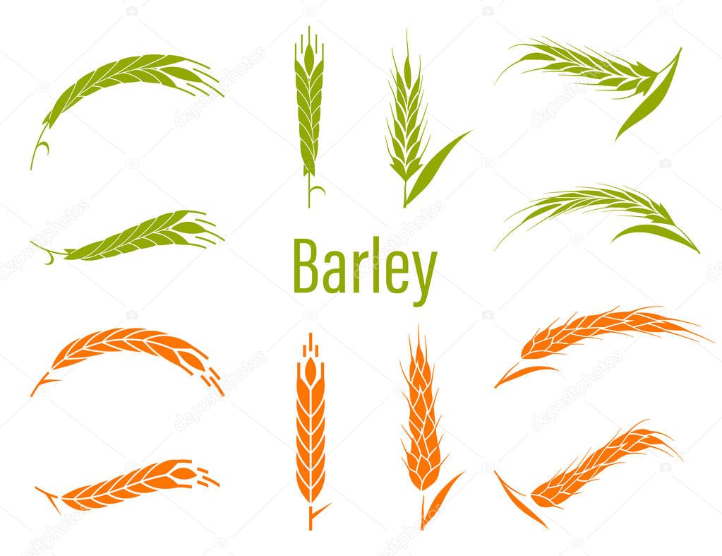 Concept for organic products label, harvest and farming, grain, bakery, healthy food.