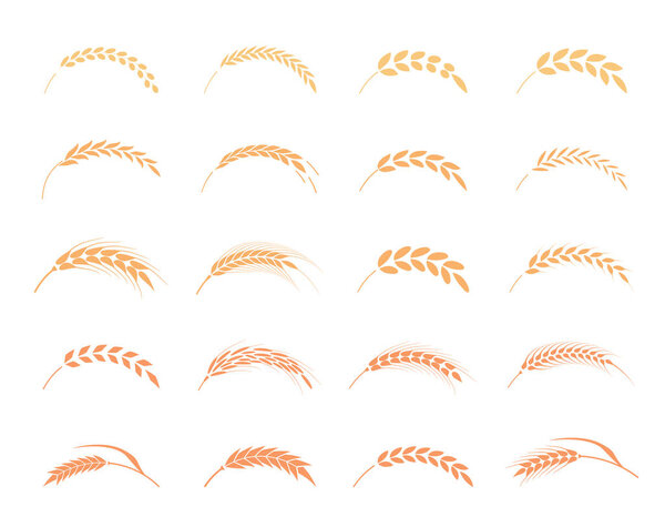 Wheat ears or rice icons set.