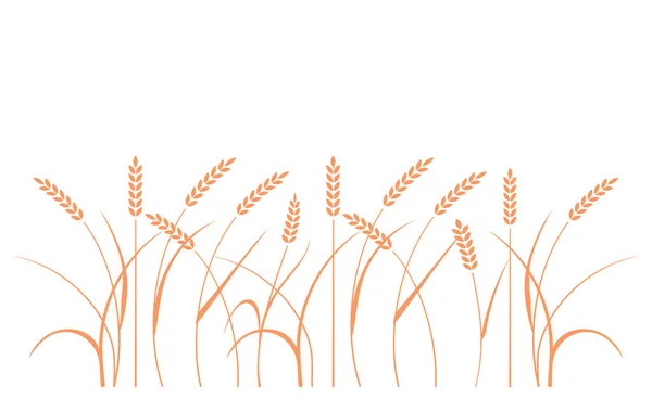 麦畑。ライ麦のシルエット. — ストックベクタ