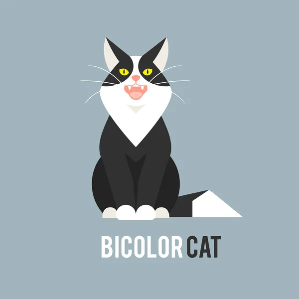 Zwart-witte kat in een vlakke stijl op een blauwe achtergrond. — Stockvector