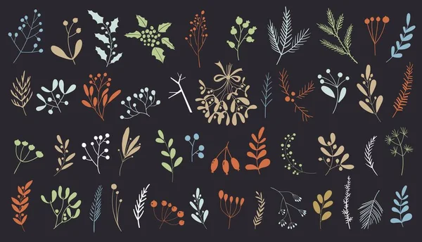 Eléments d'hiver vectoriels dessinés à la main. Design de Noël. Ensemble de Noël de plantes avec des fleurs, des branches d'épinette, des feuilles et des baies. Icônes du Nouvel An. Ensemble de plantes . — Image vectorielle