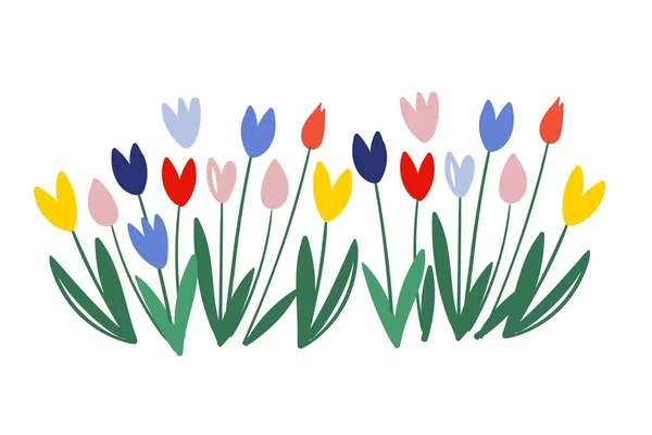 Цветные векторные тюльпаны изолированы на белом фоне. 8 марта - Международный женский день. Тюльпановый переулок. Цветные тюльпаны с зелеными листьями. Весенние цветы. Силуэты тюльпанов . — стоковый вектор