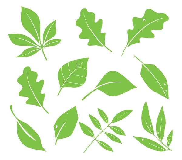 Deixa Vetor Ícone Várias Formas Folhas Verdes Árvores Plantas Elementos — Vetor de Stock
