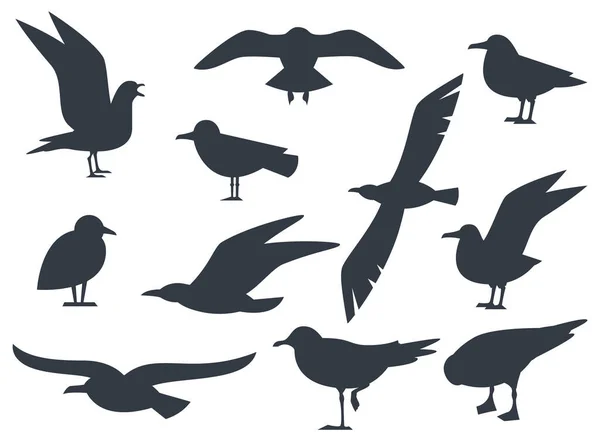 Conjunto Silueta Gaviota Aislado Vector Fondo Blanco Pon Gaviota Voladora — Archivo Imágenes Vectoriales