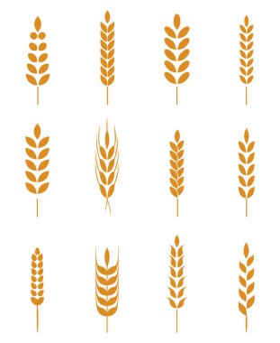 Basit ve şık buğday kulakları simgeler ve bira, organik yerel çiftlik taze gıda, ekmek temalı tasarım için tasarım öğeleri kümesi.