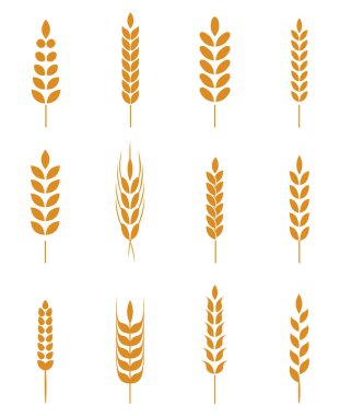 Set of simple and stylish Wheat Ears icons and design elements for beer, organic local farm fresh food, bakery themed design. clipart