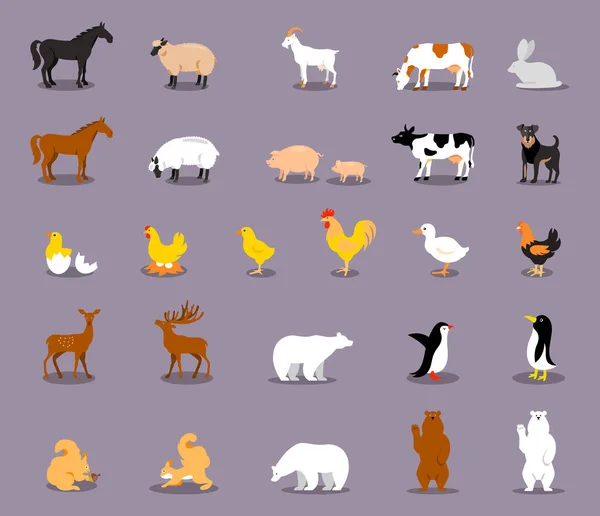Set Farm Animals Set Cartoon Farm Animals Isolated Purple Background — Stock Vector