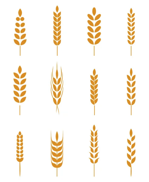 Set Simple Stylish Wheat Ears Icons Design Elements Beer Organic — Stock Vector