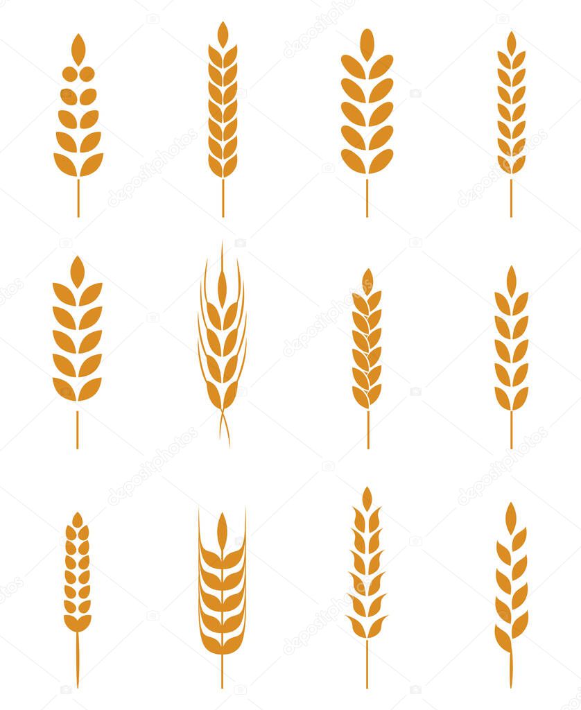 Set of simple and stylish Wheat Ears icons and design elements for beer, organic local farm fresh food, bakery themed design.