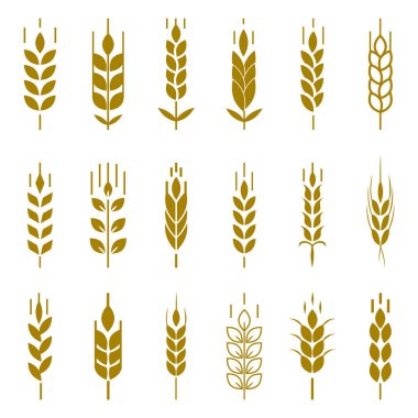 Buğday kulak sembolleri logo tasarımı için. Tarım tahıl, organik bitki, ekmek yemek, doğal hasat, vektör çizim.