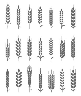 Buğday Kulağı Simgeleri ve Logo Seti. Organik buğday, ekmek tarımı ve doğal yemek..