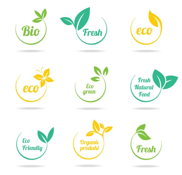 Set of green labels and badges with leaves for organic, natural, bio and eco friendly products isolated on white background — Stock Vector