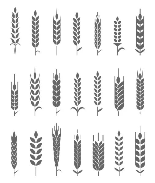 Weizenohren Symbole Und Logo Set Biologischer Weizen Brotanbau Und Natürliche — Stockvektor