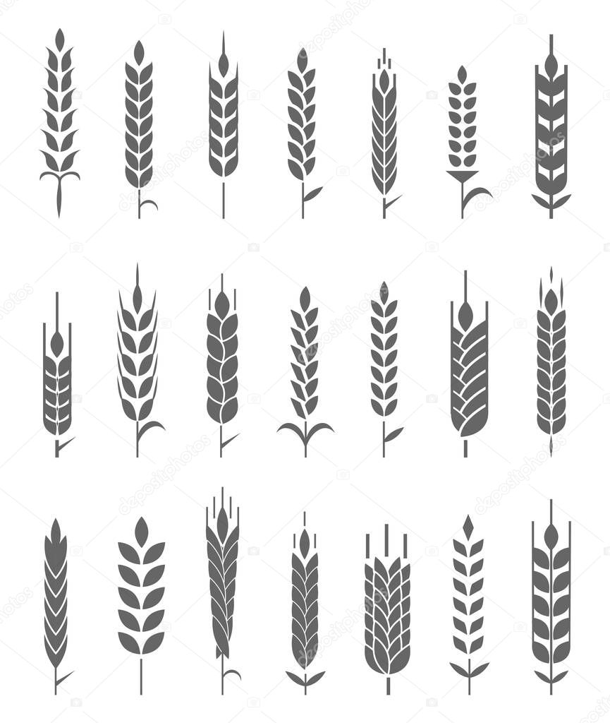 Wheat Ears Icons and Logo Set. Organic wheat, bread agriculture and natural eat.