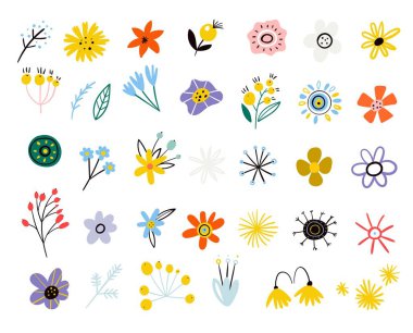 Renkli çiçek koleksiyonu. Düz bir şekilde yaz çiçekleri seti. Bahar Paskalya süsleri dalların ve kır çiçeklerinin yapraklarından. İskandinav tarzı. Modern tasarım. Botanik çiçekleri