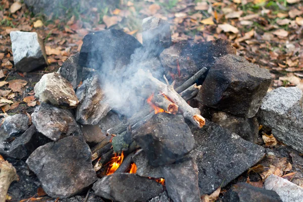 Kaya ateşi sonbaharda yakacak odun yakıyor.