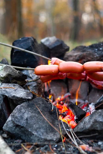 Fencing for a fire from stones are prepared sausages on a fire in the fall