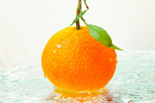 Πορτοκαλί Μανταρίνι Ένα Κλαδί Και Φύλλα Που Στέκονται Στο Νερό — Φωτογραφία Αρχείου