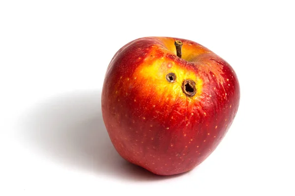 Pomme Aux Vers Rouges Avec Deux Trous Pourriture Sur Fond — Photo