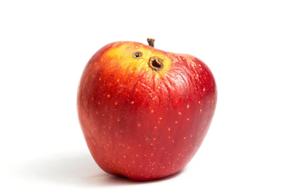 Pomme Aux Vers Rouges Avec Deux Trous Pourriture Sur Fond — Photo